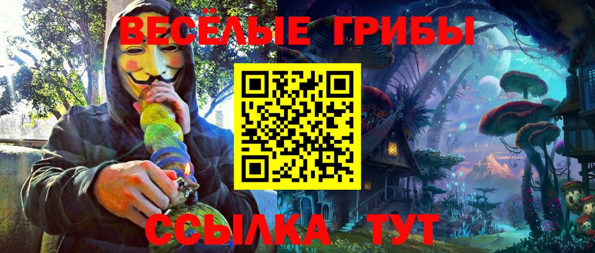 Псилоцибиновые грибы Psilocybe Валуйки